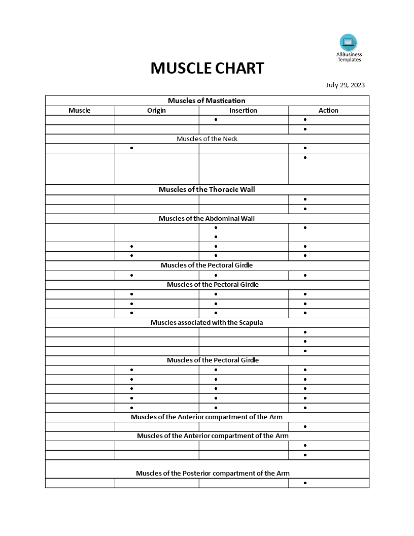 muscle actions chart voorbeeld afbeelding 