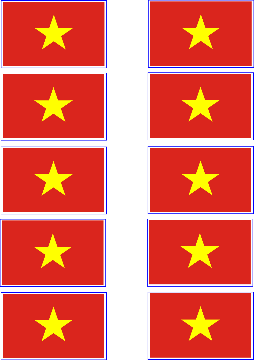 Preview Vietnam Flag