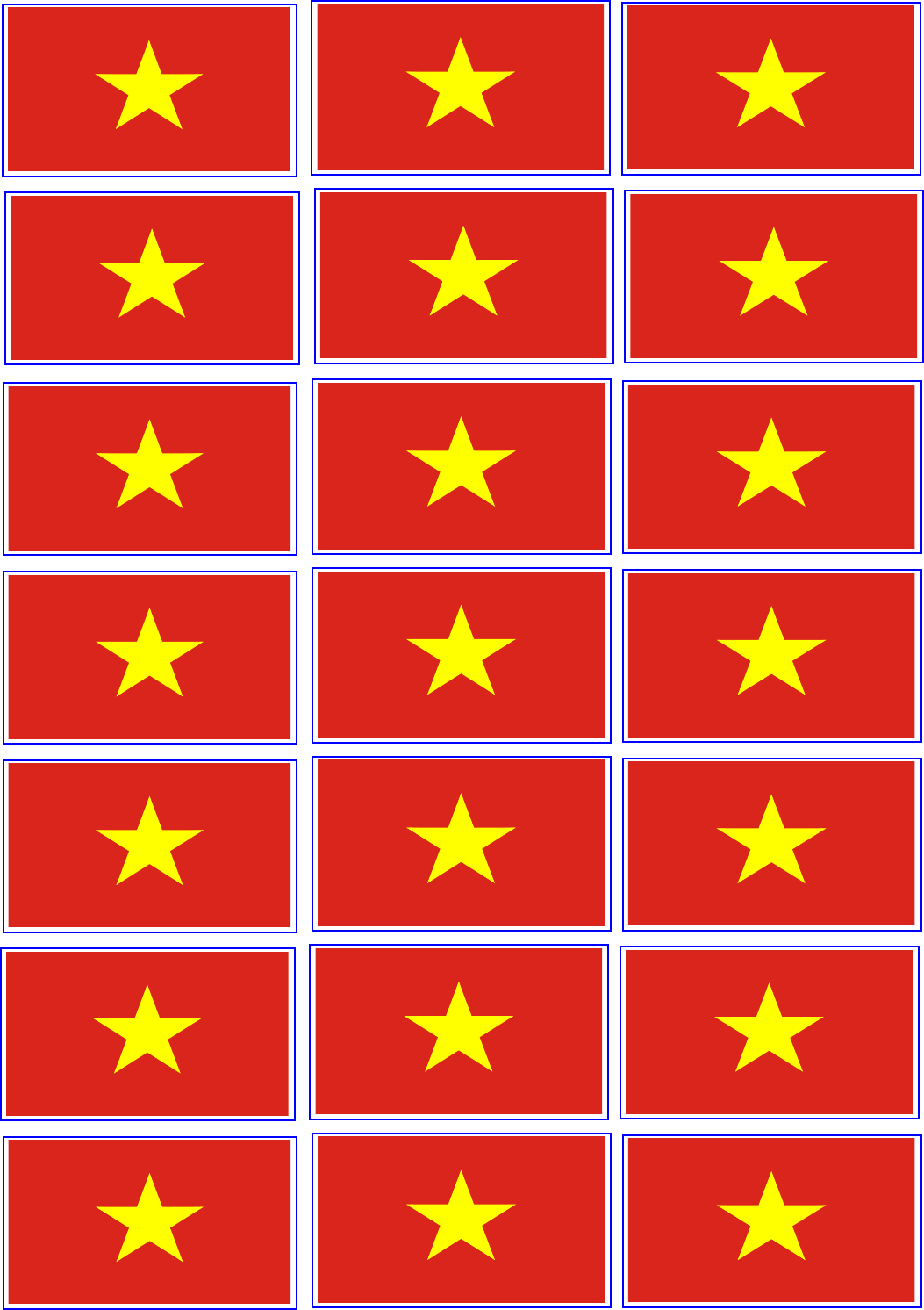 Preview Vietnam Flag