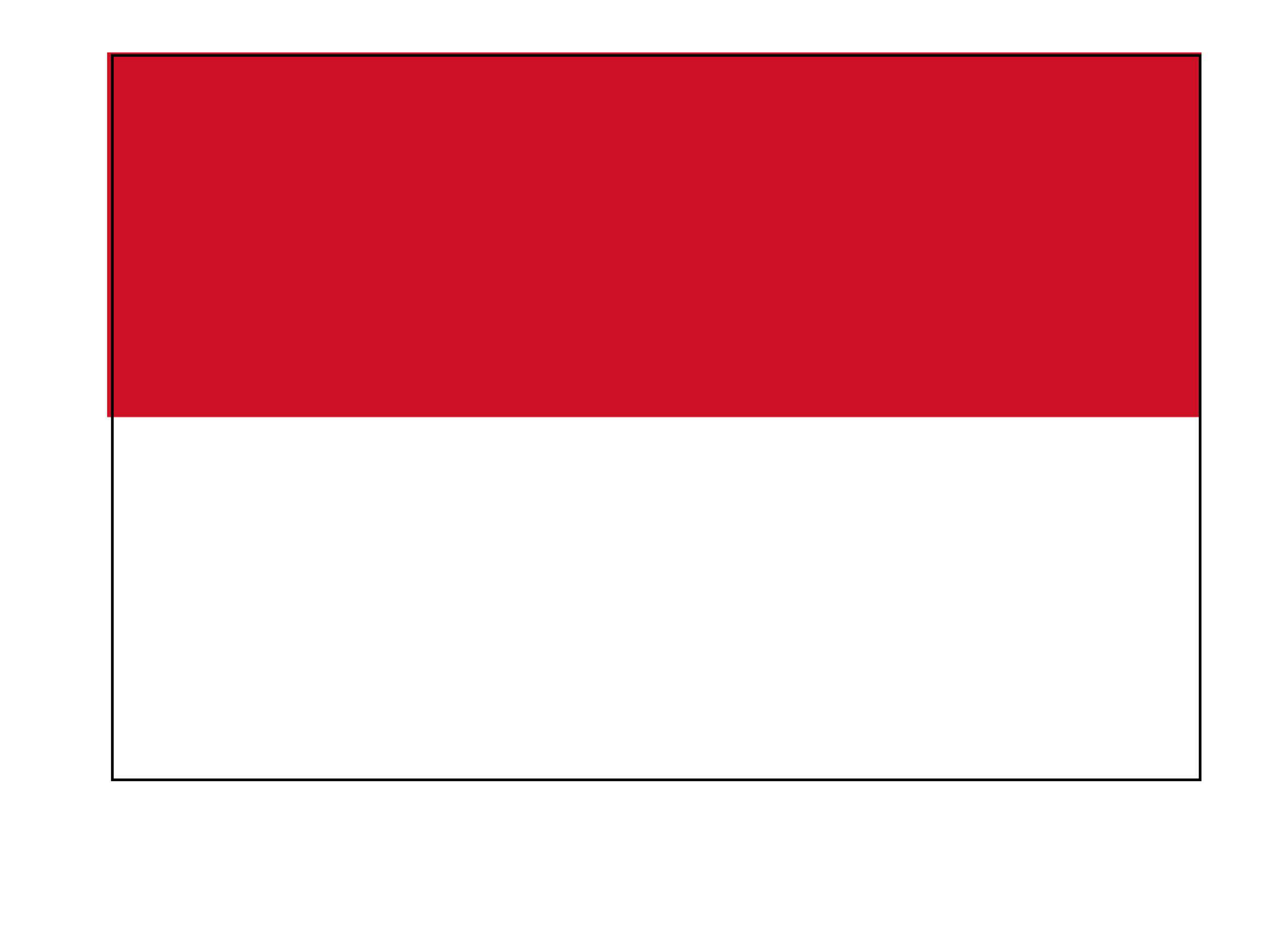 государственный флаг индонезии