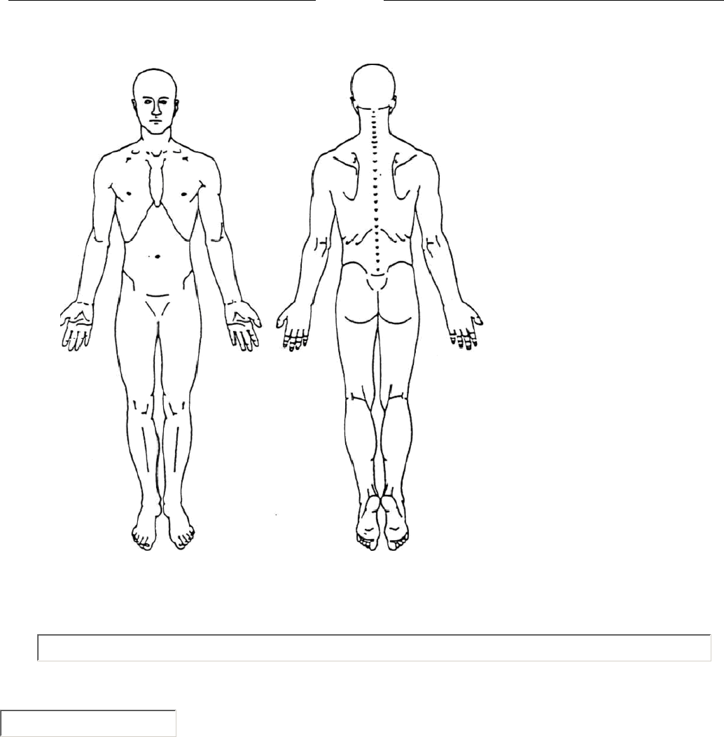 Printable Body Chart Physiotherapy