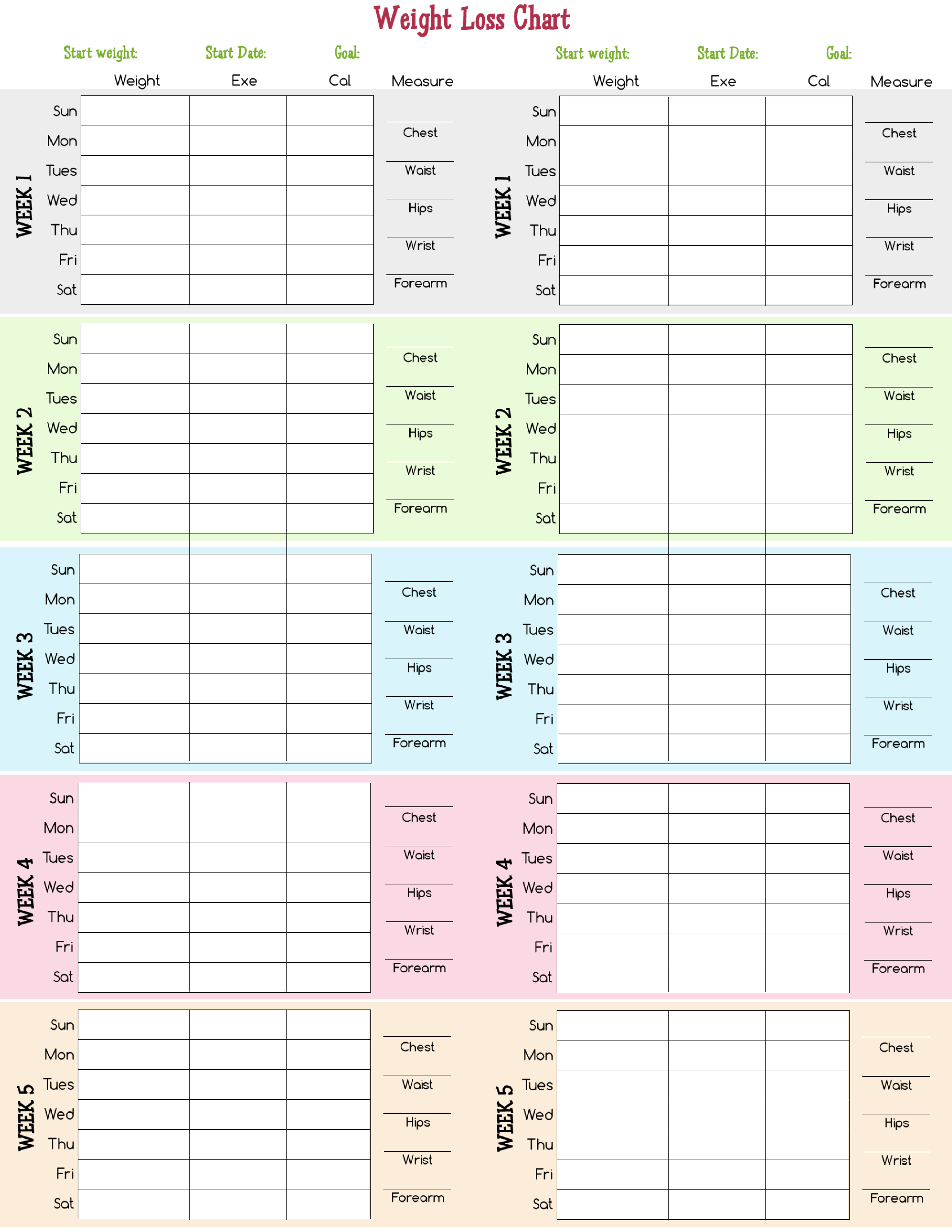 weekly weight loss spreadsheet template tracker