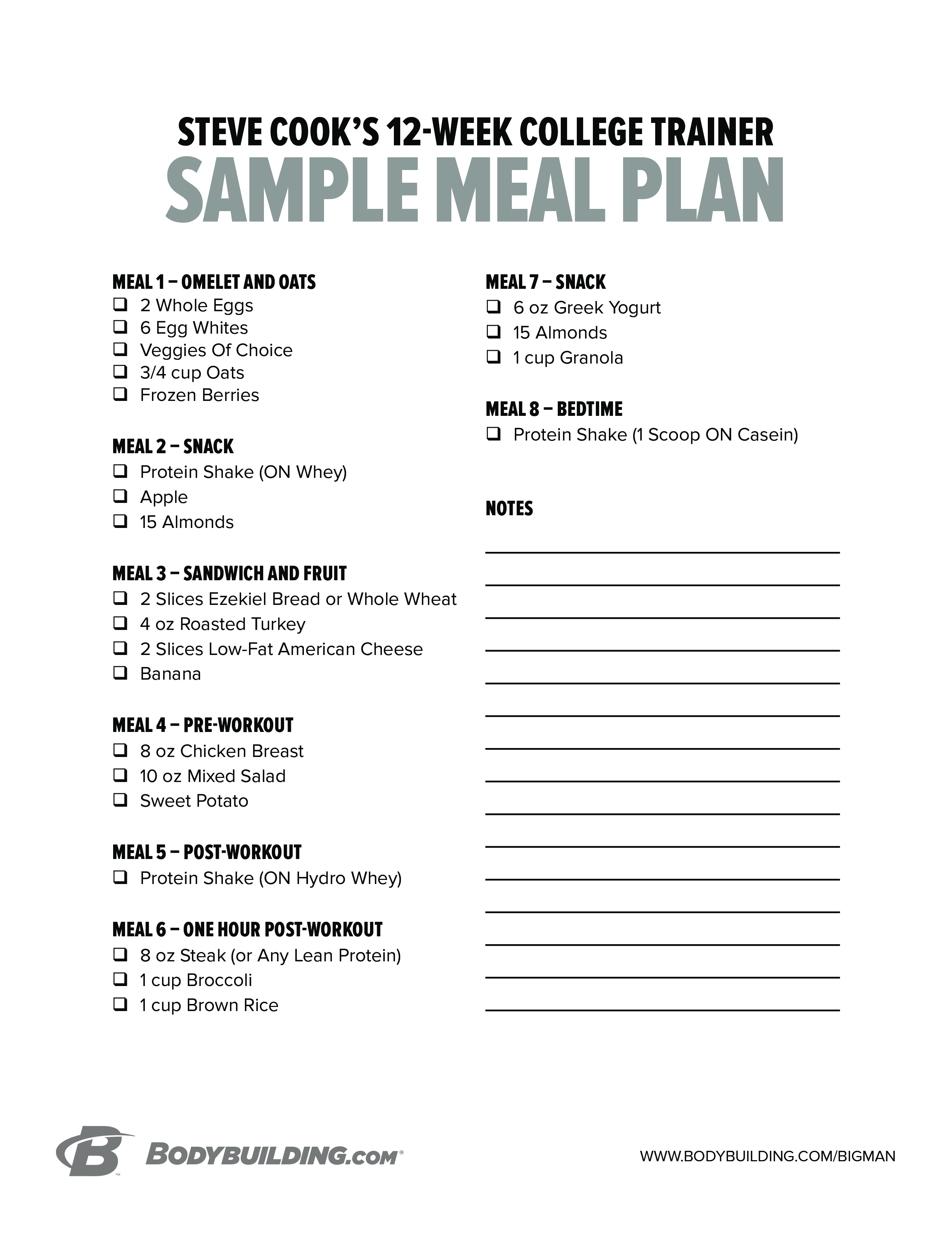 Bodybuilding Excel Templates Bodybuilding Meal Plan Template 