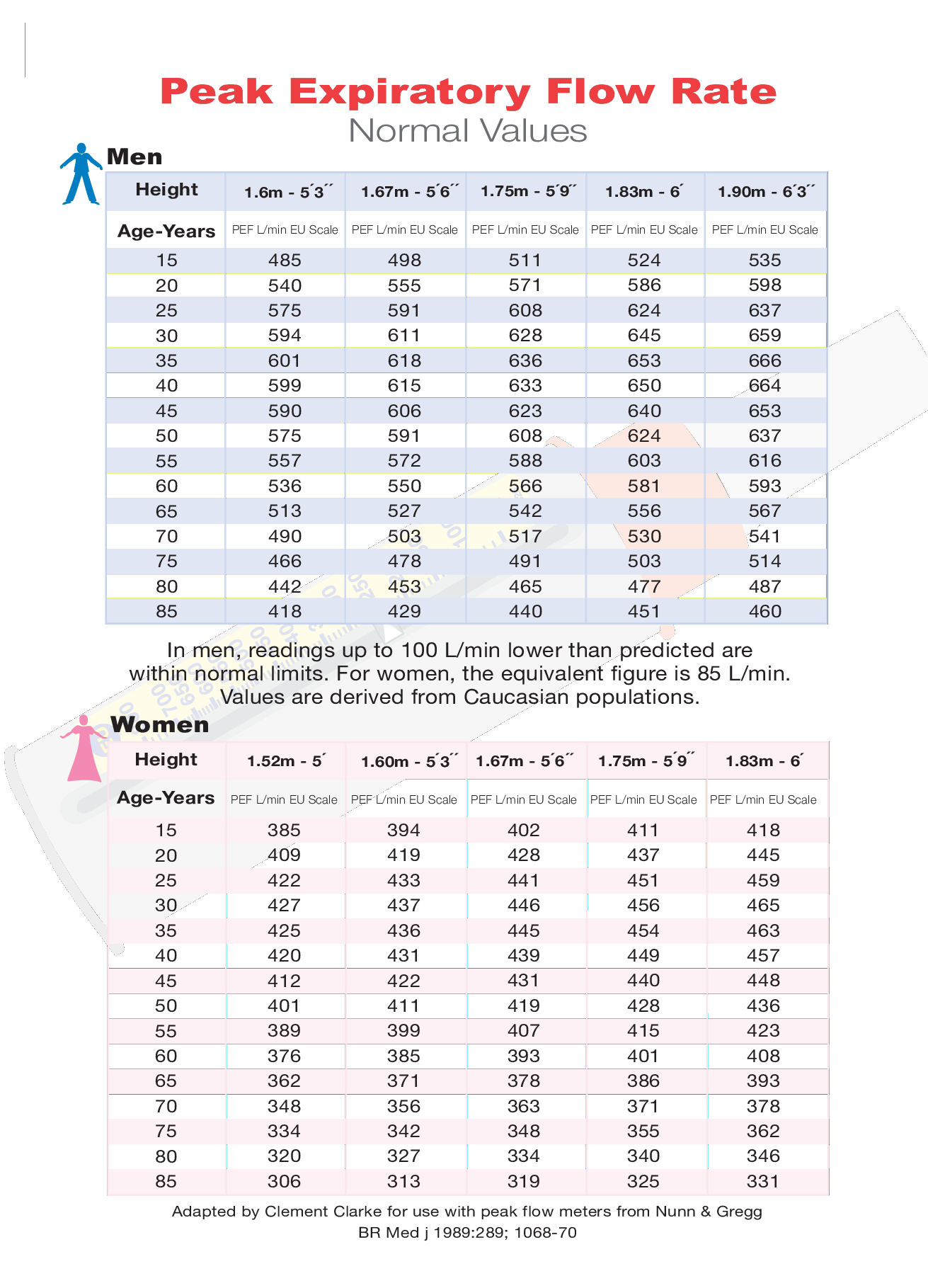 Template Printable Peak Flow Chart Printable Word Searches