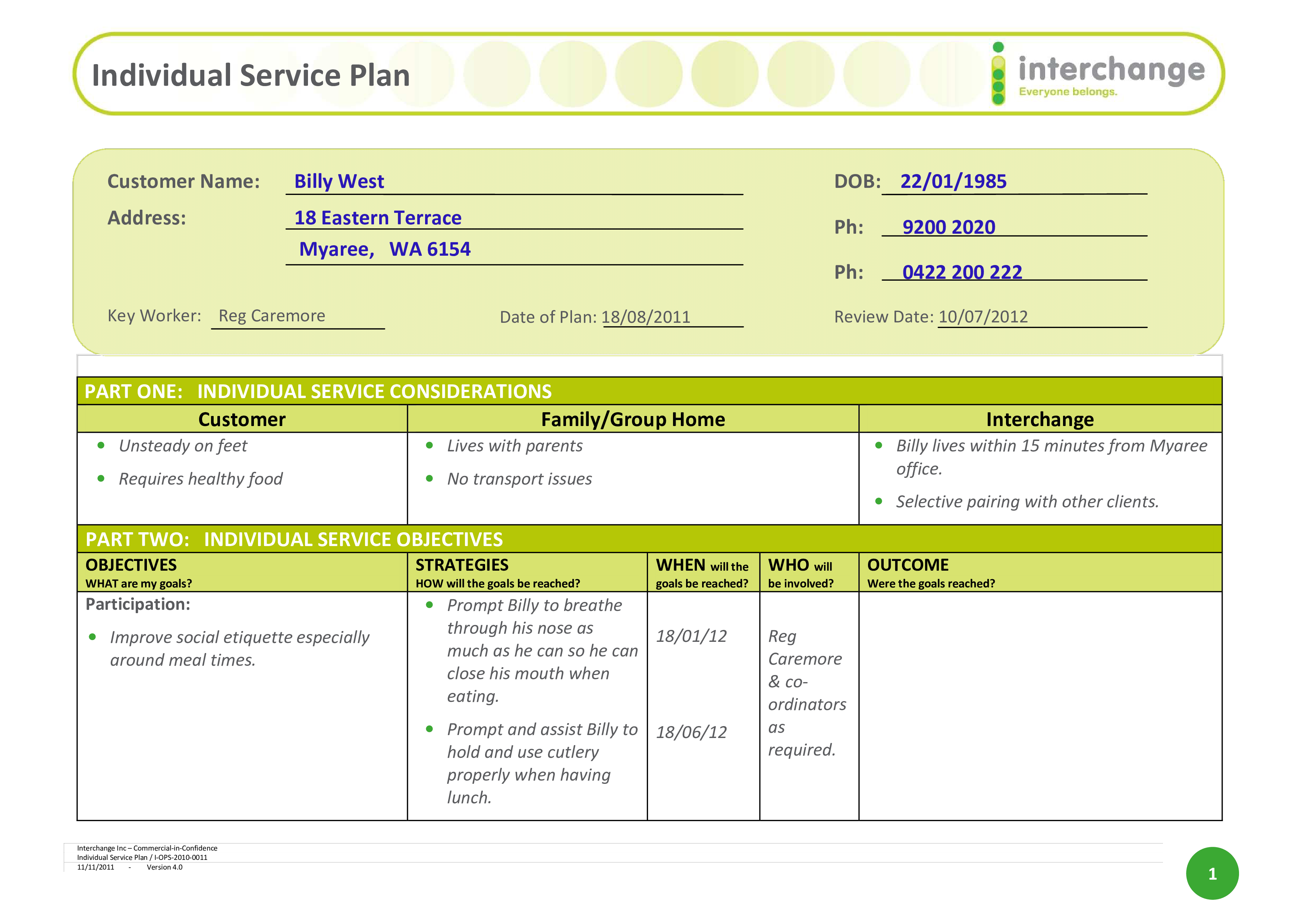Individual Service Plan Templates at