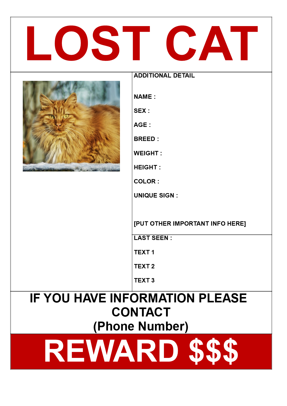 Missing Cat Poster Template PDF Template