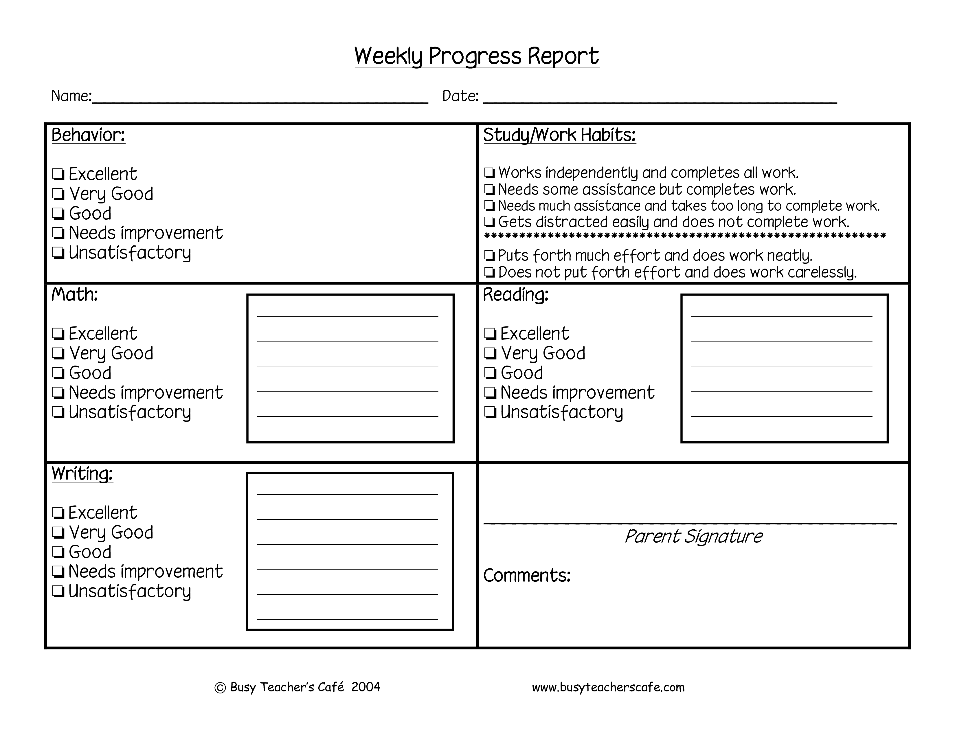 Pupil Report Template