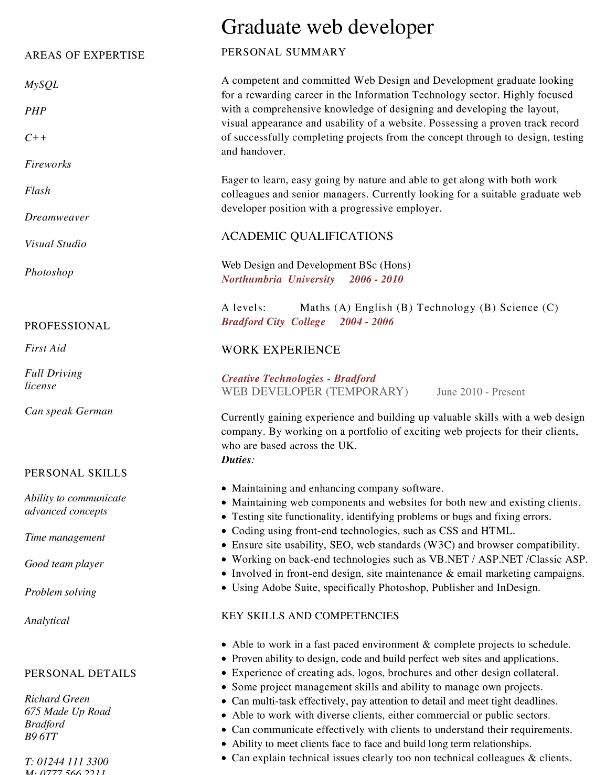 Junior Web Developer Curriculum Vitae 模板