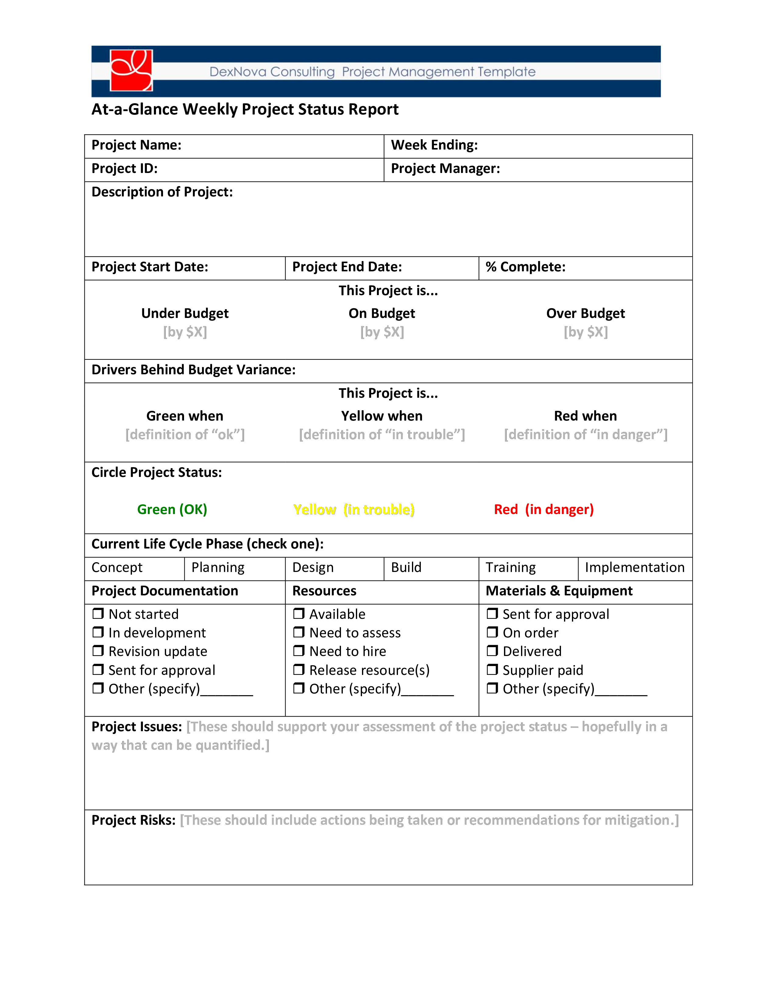 Development Status Report Template