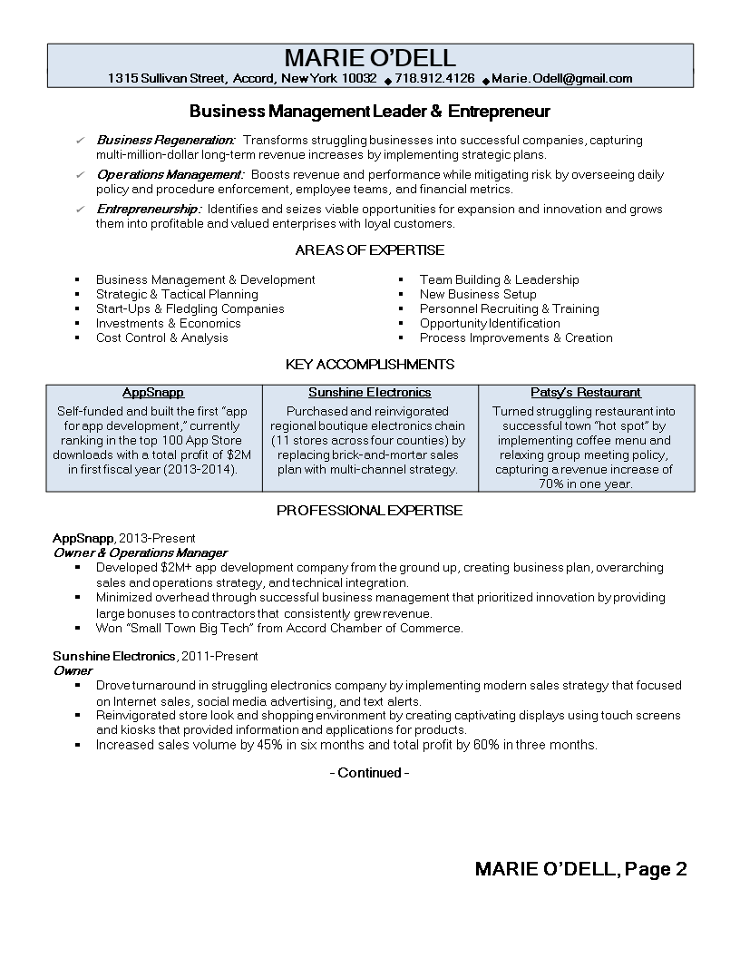 Business Owner Resume Templates at