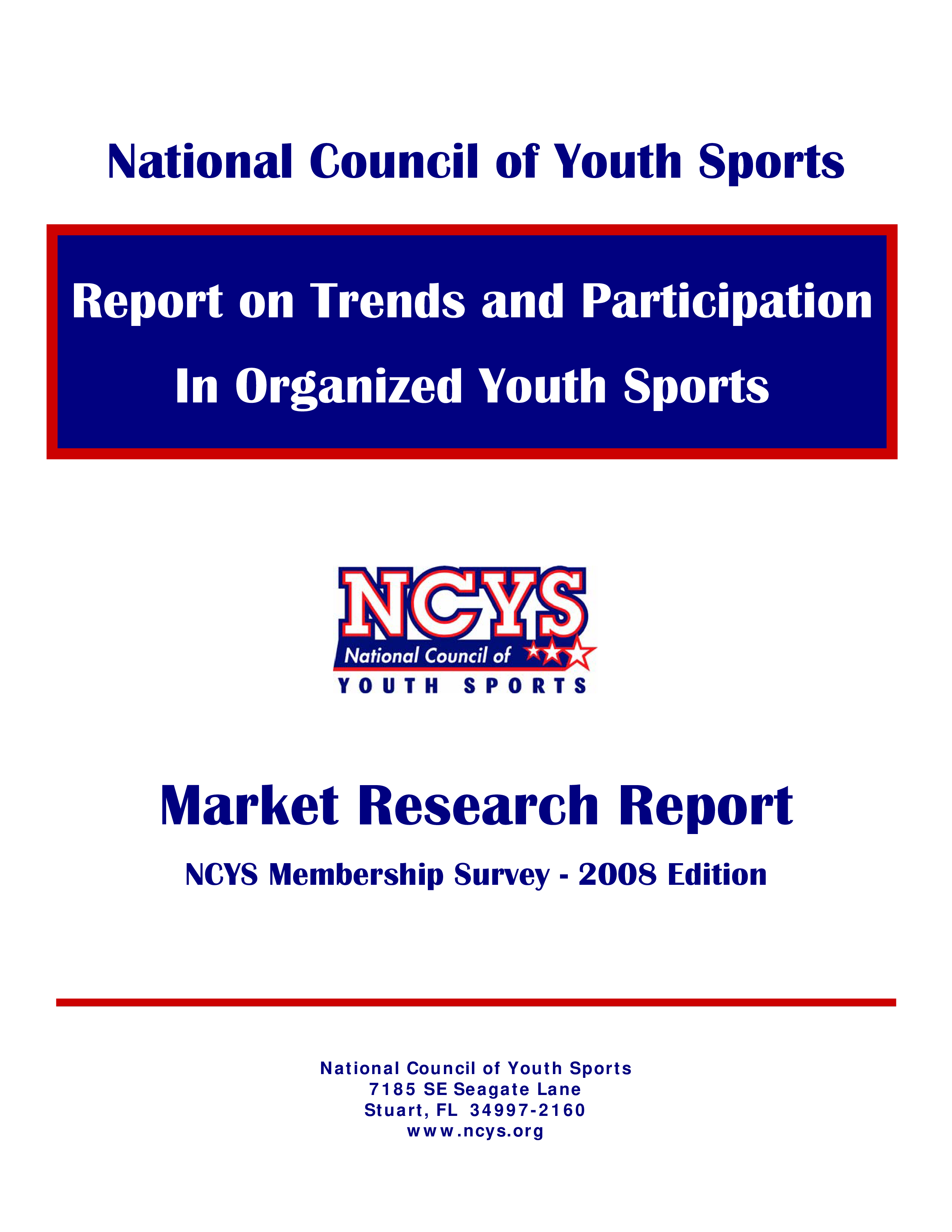 market research report based on survey results voorbeeld afbeelding 