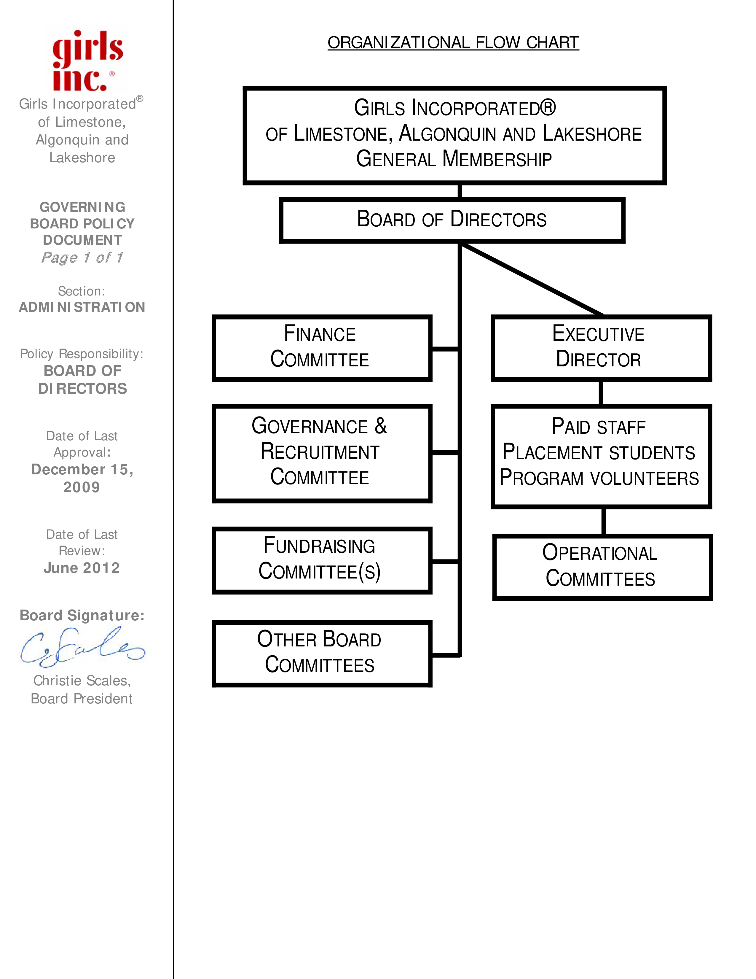 organizational chart voorbeeld afbeelding 