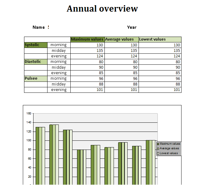 Blood Pressure Log Excel file main image