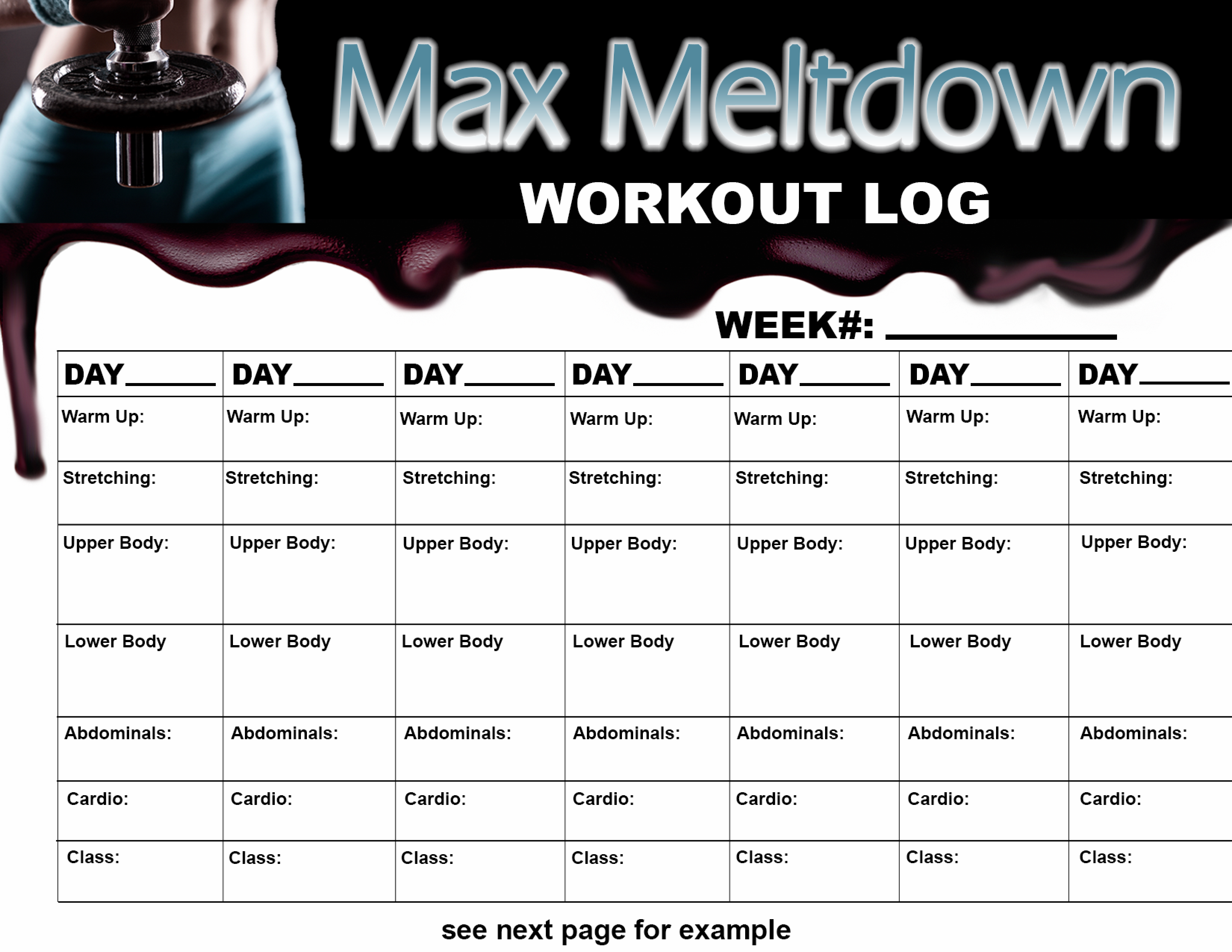 daily workout log voorbeeld afbeelding 