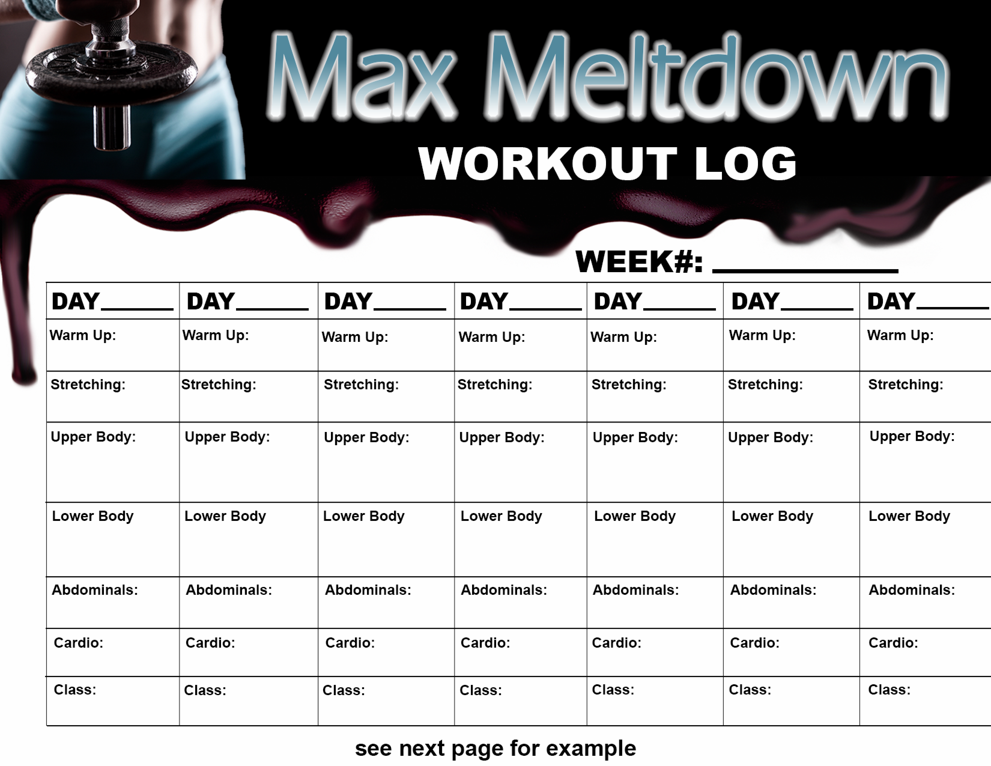 Daily Workout Log Templates At Allbusinesstemplates