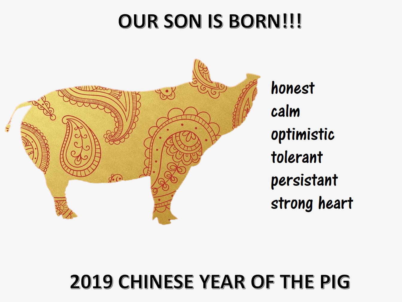 2019中国猪年儿子出生 voorbeeld afbeelding 