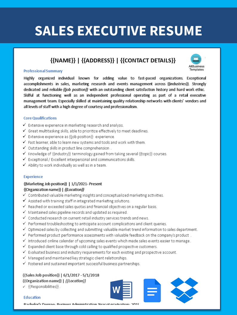 Kostenloses Sales Executive CV Sample