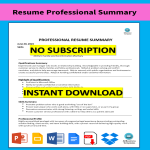 Resume Professional Summary gratis en premium templates