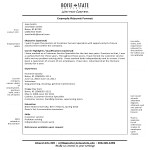 Printable Sample Resume Format gratis en premium templates