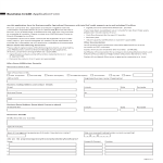 Vorschaubild der VorlageBusiness Credit Application Template