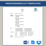 Professionele Cv Voorbeeld Templates, Sjablonen, Contracten En Formulieren.