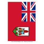 template topic preview image Bermuda Flag