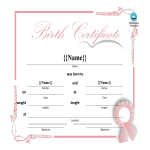 template topic preview image Birth Certificate Printable
