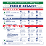 Child and Adult Food Program Chart gratis en premium templates