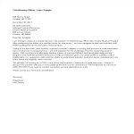 Vorschaubild der VorlageChief Nursing Officer Job Application Letter
