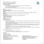 Technical IT Resume Format gratis en premium templates