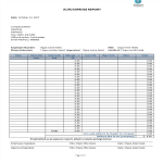 Auto Expense Report gratis en premium templates