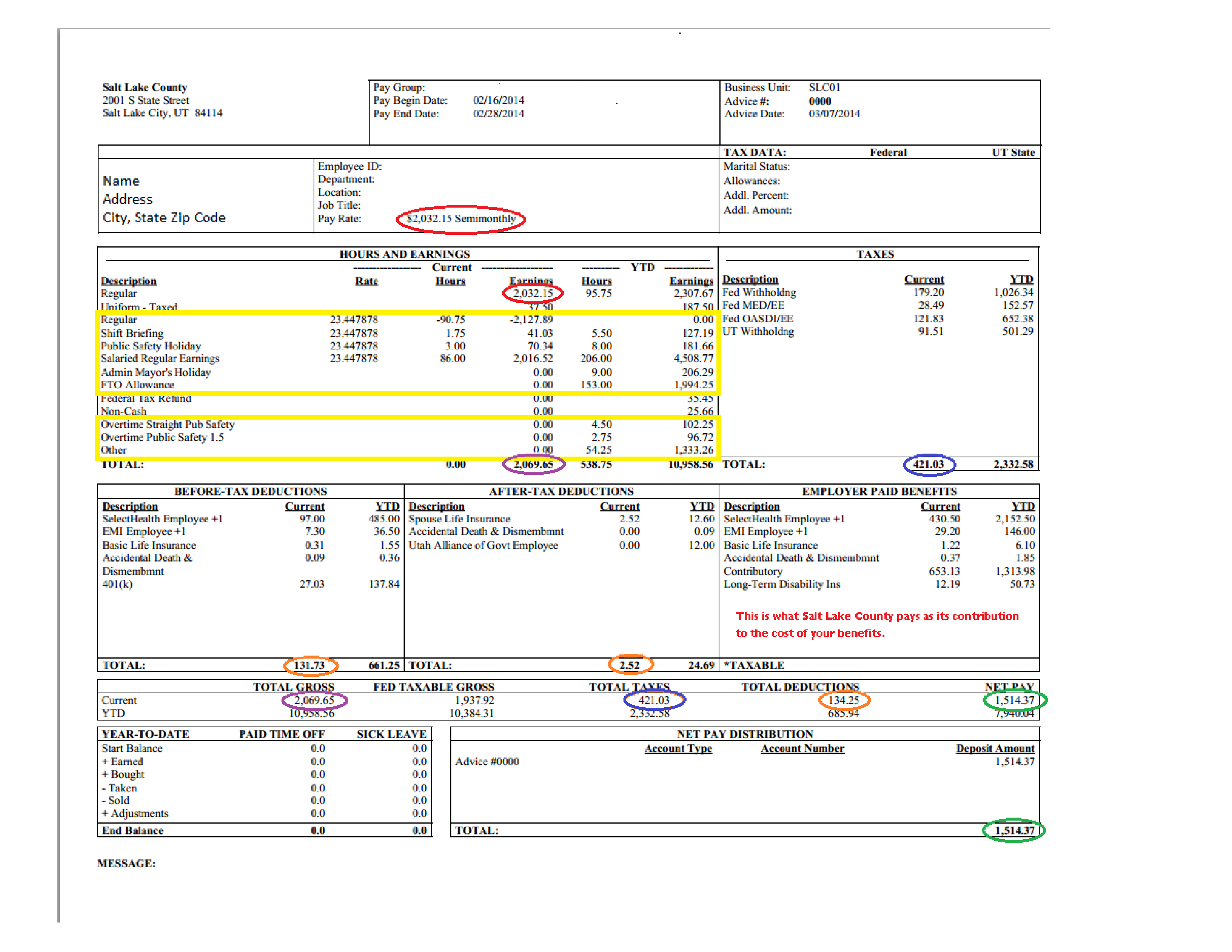 Salary Pay Stub Templates at