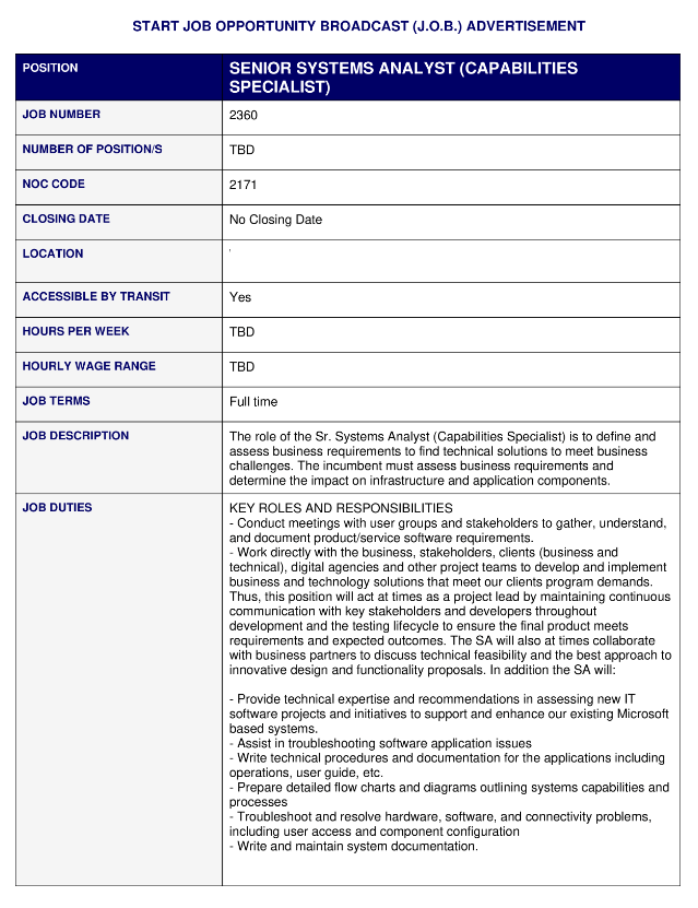 senior system analyst job description plantilla imagen principal