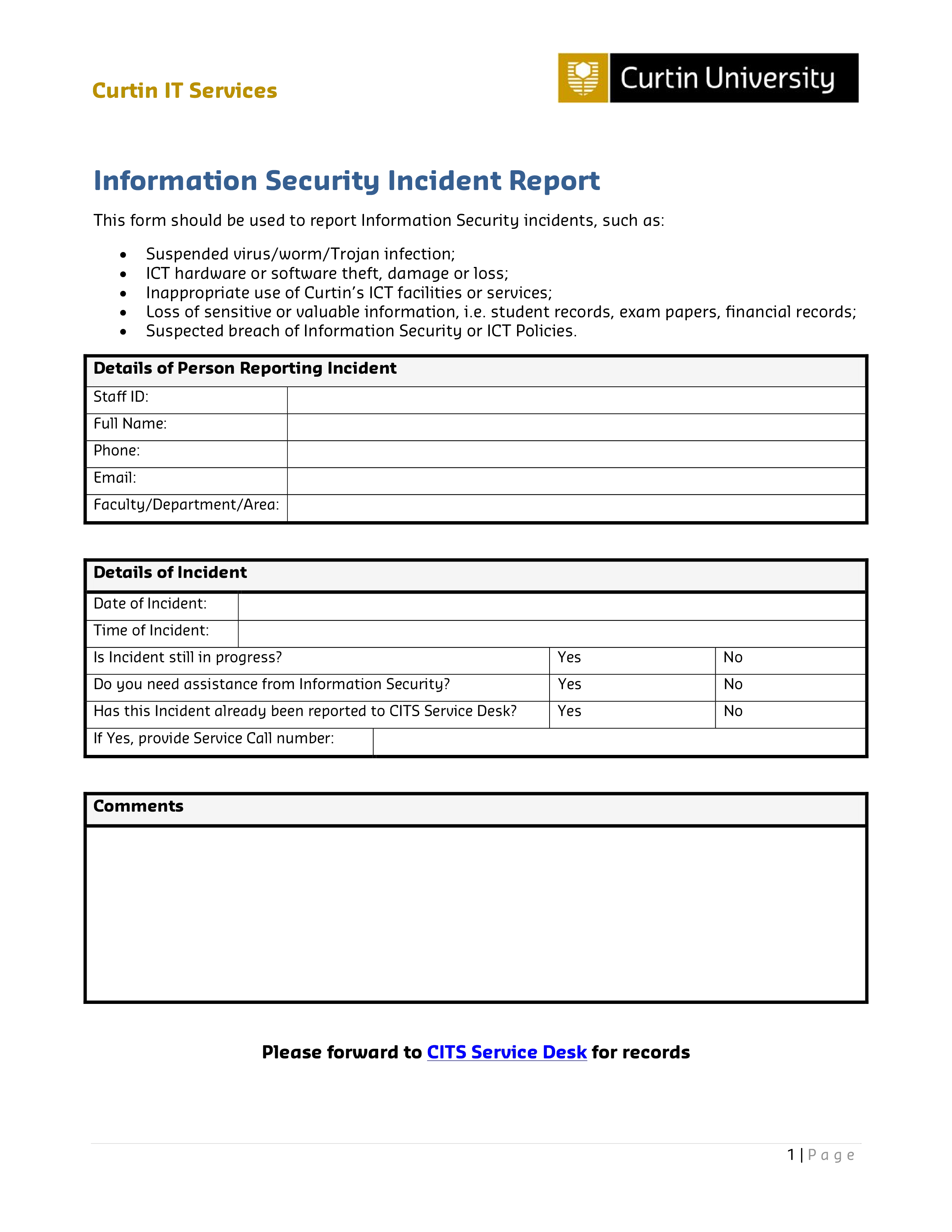 Information Security Report Template