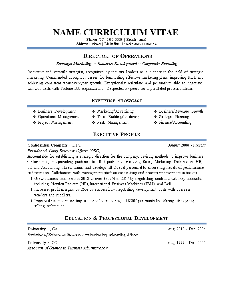 it director operations resume template