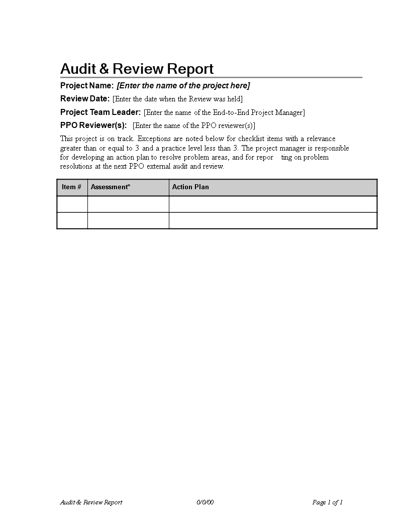 audit review report project template